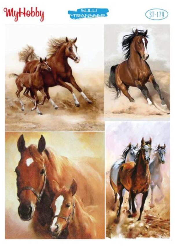 My Hobby At Desenli Sulu Transfer STI-179 - 1