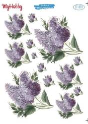 My Hobby Çiçek Desenli Sulu Transfer ST-079 - MyHobby