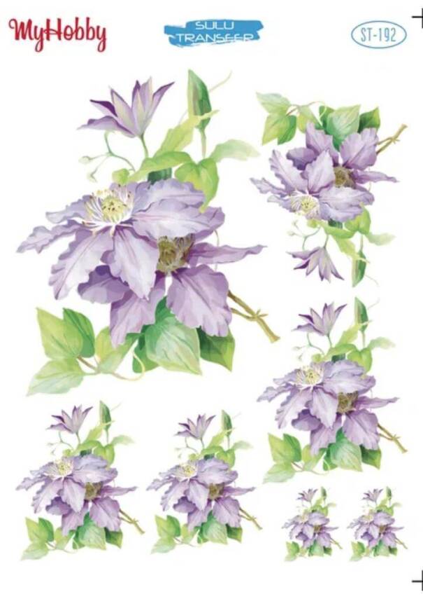 My Hobby Çiçek Desenli Sulu Transfer ST-192 - 1