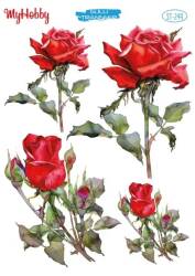 My Hobby Çiçek Desenli Sulu Transfer ST-249 - MyHobby