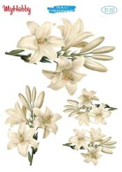 My Hobby Çiçek Desenli Sulu Transfer ST-257 - MyHobby