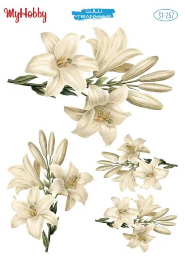 My Hobby Çiçek Desenli Sulu Transfer ST-257 - 1