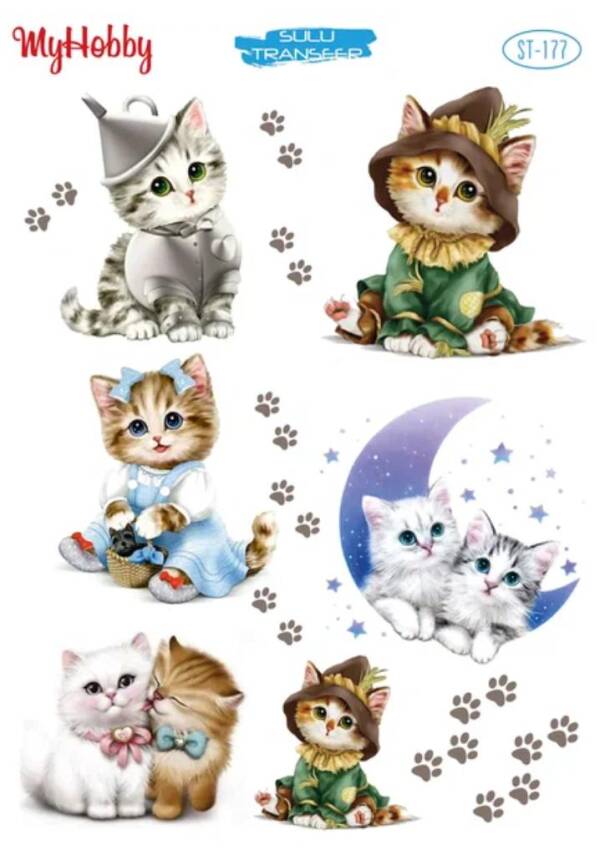 My Hobby Kedi Desenli Sulu Transfer STI-177 - 1