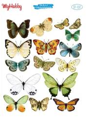 My Hobby Kelebek Desenli Sulu Transfer ST-137 - MyHobby