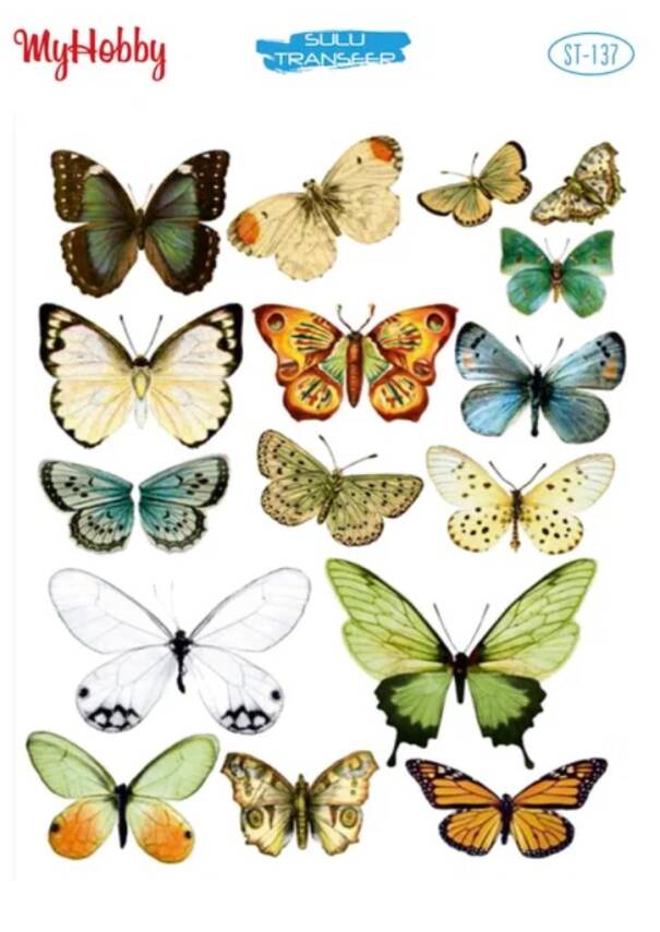 My Hobby Kelebek Desenli Sulu Transfer ST-137 - 1
