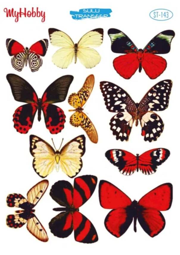 My Hobby Kelebek Desenli Sulu Transfer ST-143 - 1