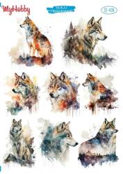 My Hobby Kurt Desenli Sulu Transfer STI-439 - MyHobby