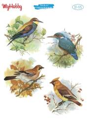 My Hobby Kuş Desenli Sulu Transfer ST-175 - MyHobby