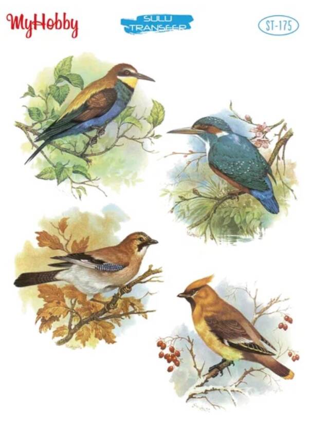 My Hobby Kuş Desenli Sulu Transfer ST-175 - 1
