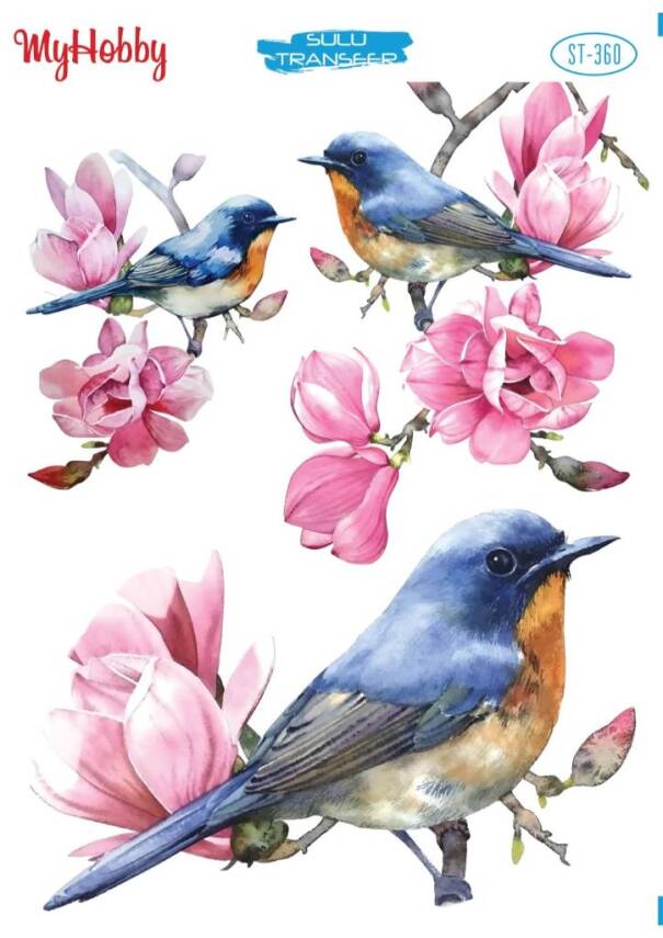 My Hobby Kuş Desenli Sulu Transfer ST-360 - 1
