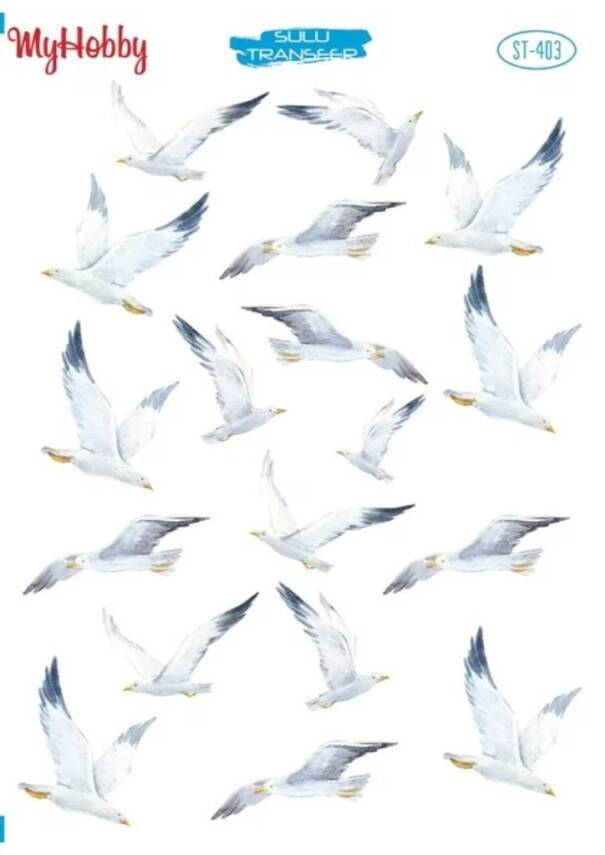 My Hobby Kuş Desenli Sulu Transfer ST-403 - 1