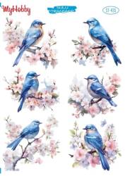 My Hobby Kuş Desenli Sulu Transfer ST-435 - MyHobby