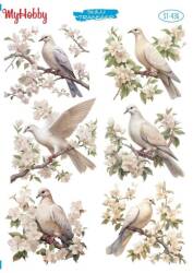 My Hobby Kuş Desenli Sulu Transfer ST-436 - MyHobby