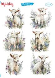 My Hobby Kuzu Desenli Sulu Transfer STI-438 - MyHobby