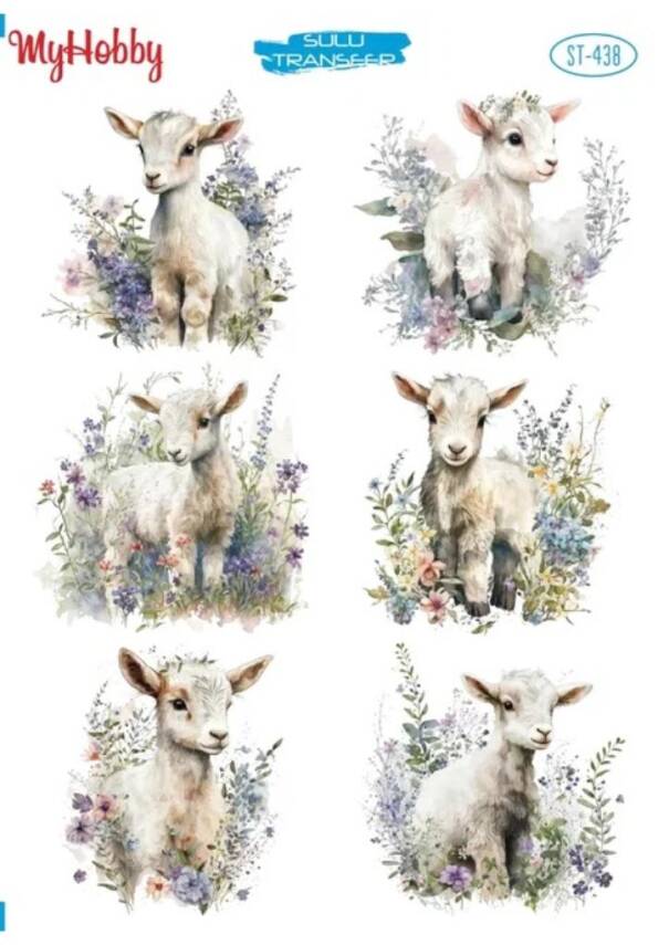 My Hobby Kuzu Desenli Sulu Transfer STI-438 - 1
