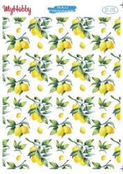 My Hobby Limon Desenli Sulu Transfer ST-275 - MyHobby