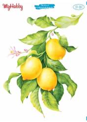 My Hobby Limon Desenli Sulu Transfer ST-351 - MyHobby