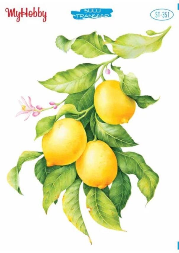 My Hobby Limon Desenli Sulu Transfer ST-351 - 1