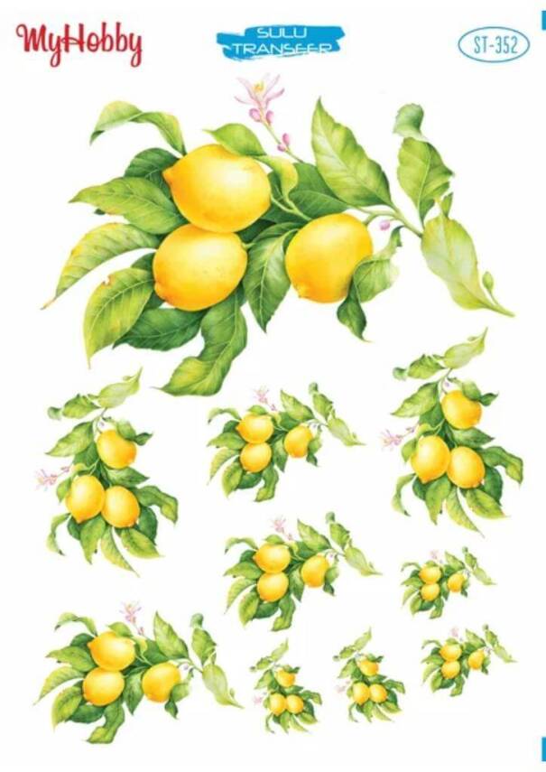 My Hobby Limon Desenli Sulu Transfer ST-352 - 1