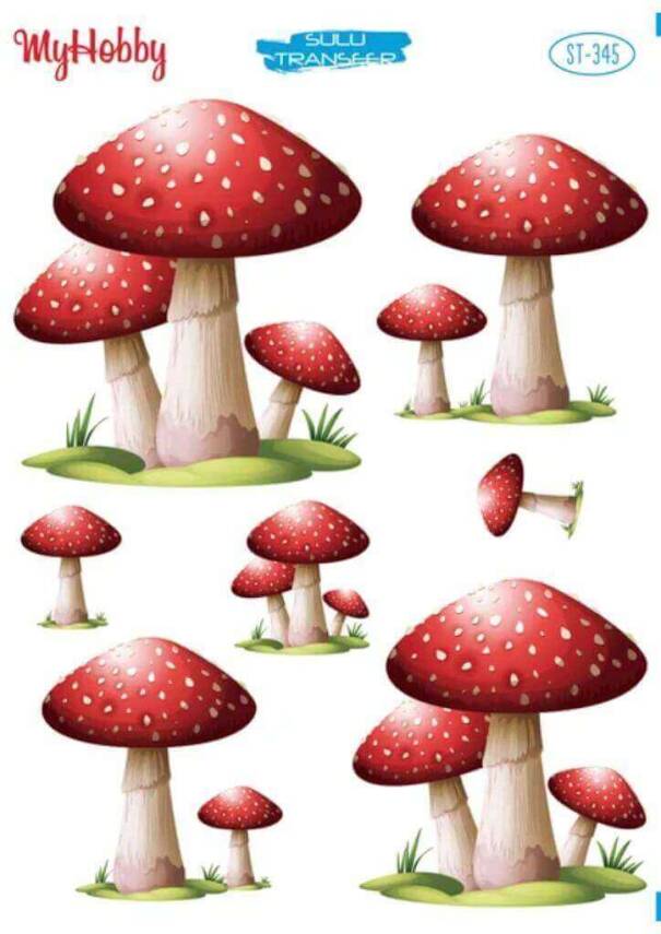 My Hobby Mantar Desenli Sulu Transfer ST-345 - 1