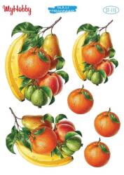 My Hobby Meyve Desenli Sulu Transfer ST-115 - MyHobby