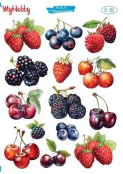 My Hobby Meyve Desenli Sulu Transfer ST-382 - MyHobby