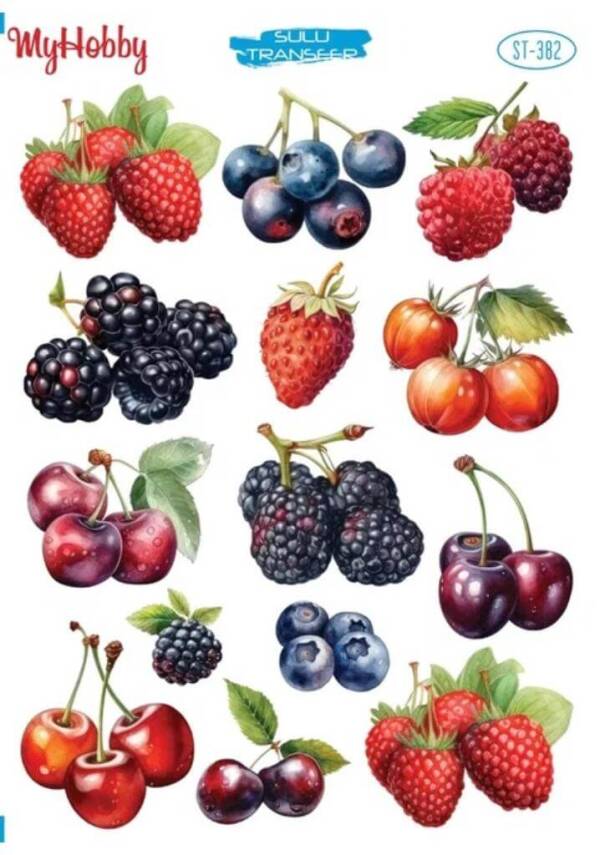 My Hobby Meyve Desenli Sulu Transfer ST-382 - 1