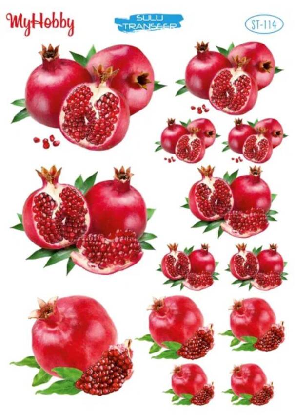 My Hobby Nar Desenli Sulu Transfer ST-114 - 1