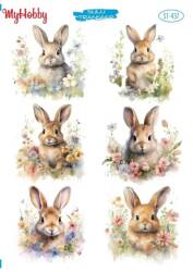 My Hobby Tavşan Desenli Sulu Transfer STI-437 - MyHobby