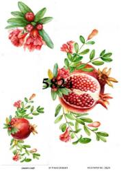 Nar Desenli Pirinç Dekopaj Model : 5824 - Line Art