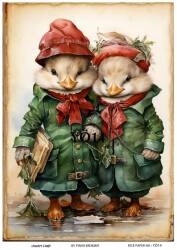 Ördek Desenli Pirinç Dekopaj Model : YÖ14 - Line Art