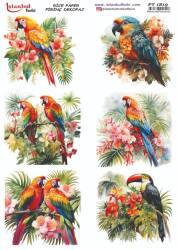 Papağan Çiçek Desenli Pirinç Dekopaj Model : PT 1819 - Tual Hobi Craft İst