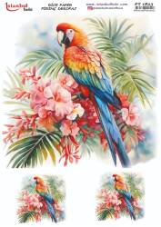 Papağan Çiçek Desenli Pirinç Dekopaj Model : PT 1823 - Tual Hobi Craft İst