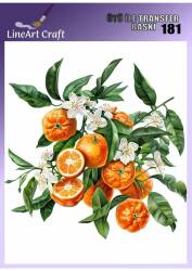 Portakal Desenli Kumaş Transfer Kağıdı LNT-K181 (20x20 cm) - Line Art