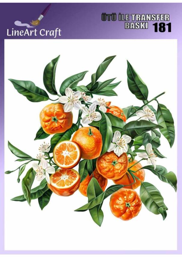 Portakal Desenli Kumaş Transfer Kağıdı LNT-K181 (20x20 cm) - 1