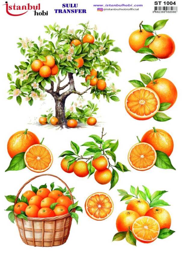 Portakal Desenli Sulu Transfer Kağıdı STI-1004 - 1