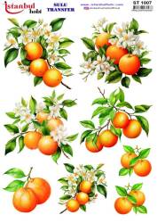 Portakal Desenli Sulu Transfer Kağıdı STI-1007 - Tual Hobi Craft Ist
