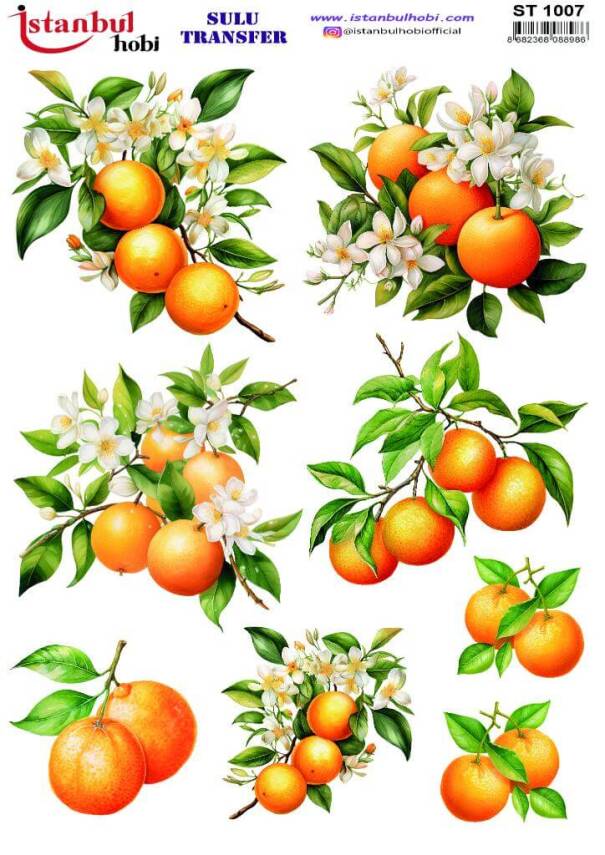 Portakal Desenli Sulu Transfer Kağıdı STI-1007 - 1