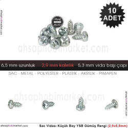 Sac Vidası Küçük 10 Adet YSB (2,9x6,5 mm) Mat Gümüş - Tual Hobi Sanat