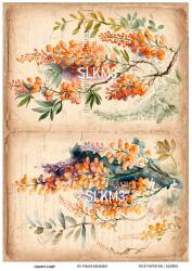 Salkım Desenli Pirinç Dekopaj Model : SLKM03 - Line Art