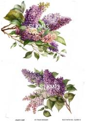 Salkım Desenli Pirinç Dekopaj Model : SLKM13 - Line Art