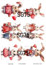 Sevgililer Desenli Pirinç Dekopaj Model : SG75 - Line Art