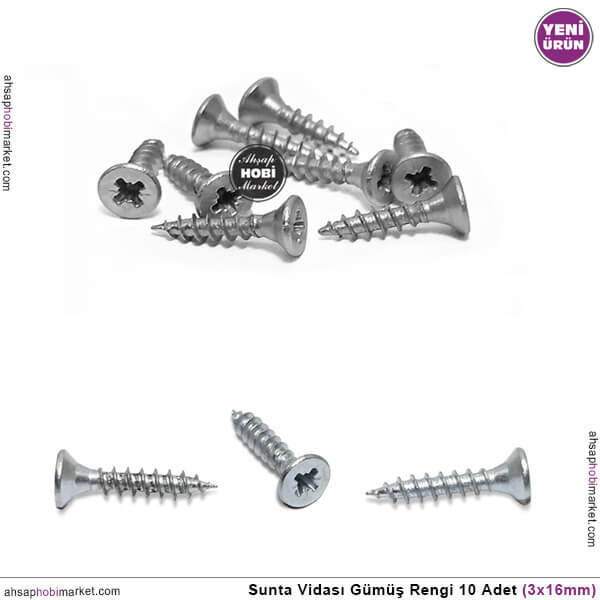 Sunta Vidası 10 Adet (2,5x16 mm) Mat Gümüş Çinko - 1