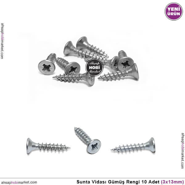 Sunta Vidası Küçük 10 Adet (3x13 mm) Mat Gümüş Çinko - 1