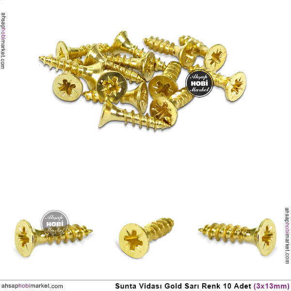 Sunta Vidası Küçük 10 Adet (3x13 mm) Parlak Gold - 1