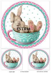 Tavşan Desenli Pirinç Dekopaj Model : ESTR48 - Line Art