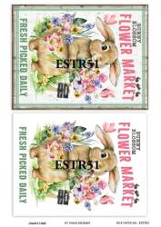 Tavşan Desenli Pirinç Dekopaj Model : ESTR51 - Line Art