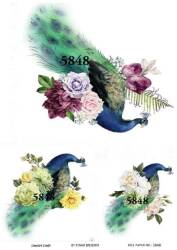 Tavus Kuşu Desenli Pirinç Dekopaj Model : 5848 - Line Art