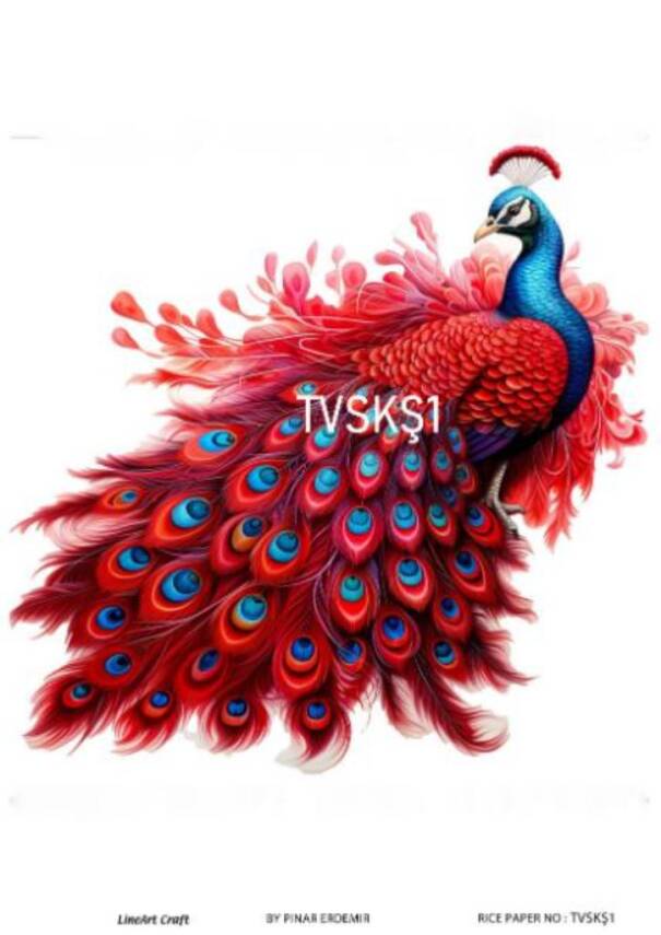 Tavus Kuşu Desenli Pirinç Dekopaj Model : TVSKŞ01 - 1