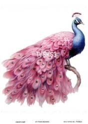 Tavus Kuşu Desenli Pirinç Dekopaj Model : TVSKŞ03 - Line Art